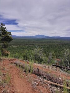 overlooking a hiking trail in williams arizona